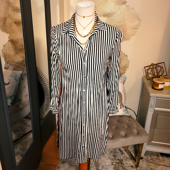 Shirt Dress - Picture 5 of 5